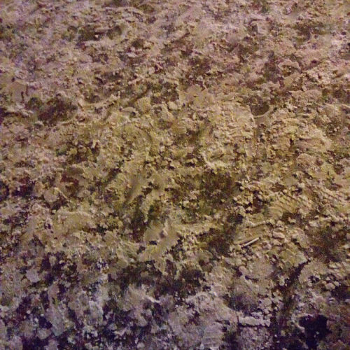 Nuiterra : All the Good You